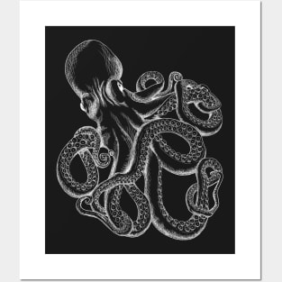 Realistic Octopus - White Line Art Posters and Art